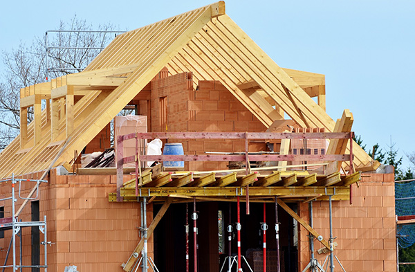 A new timber framed roof